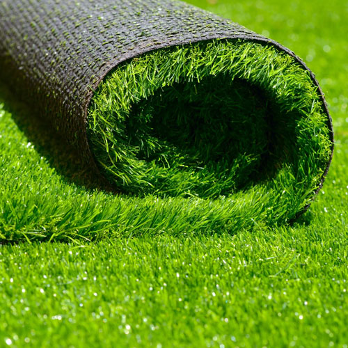 Grass